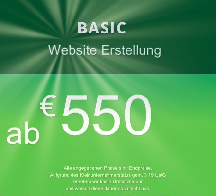 Website Basic Erstellung 550